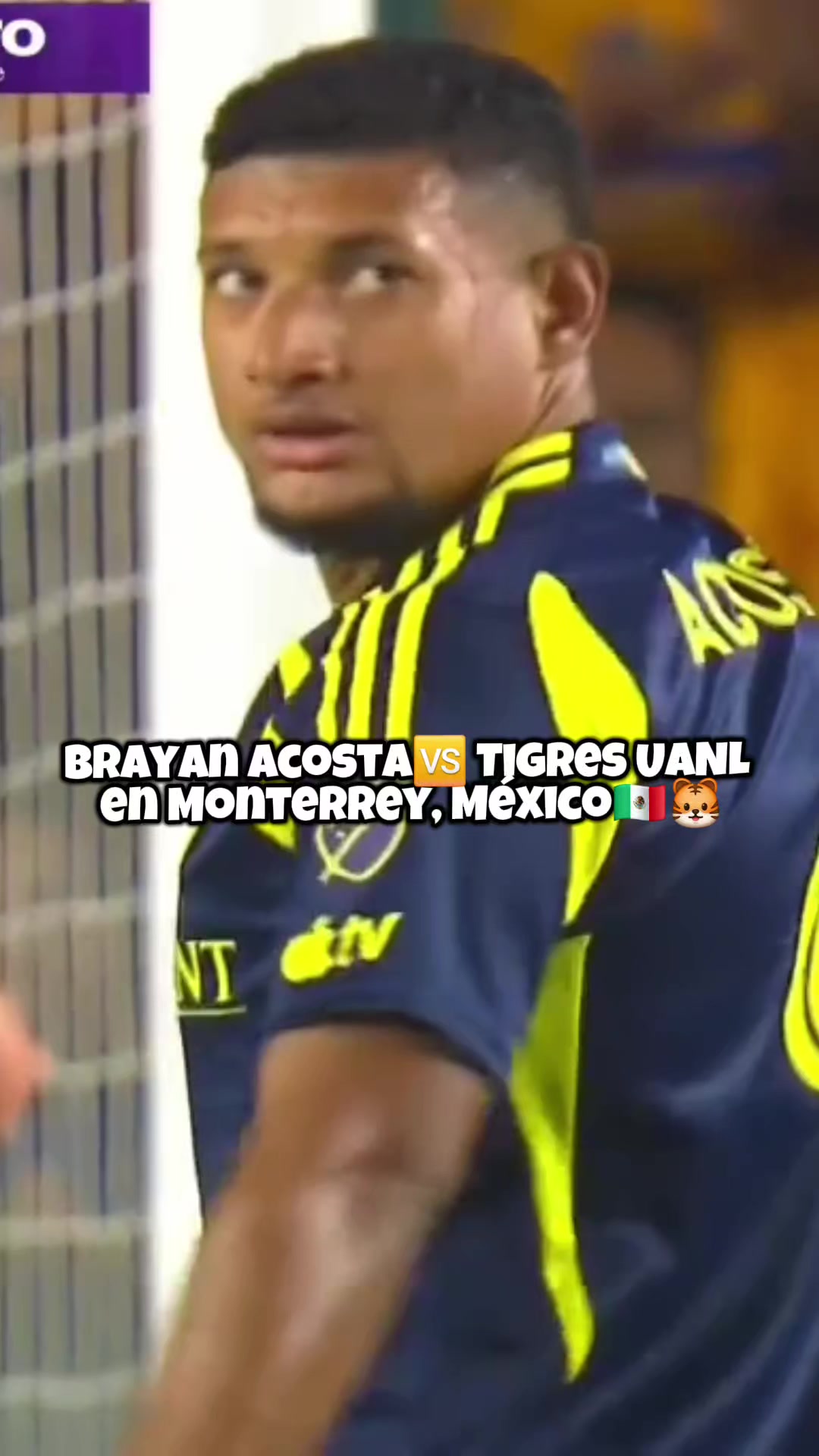 @Roque Deportes