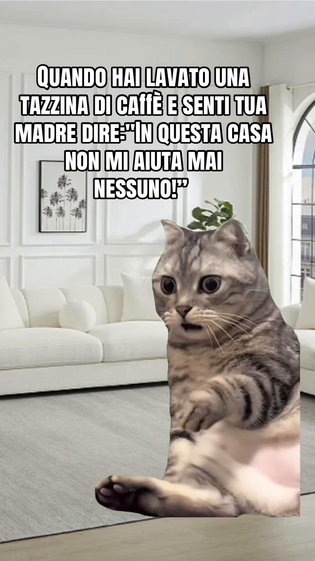 @Natascia Laura