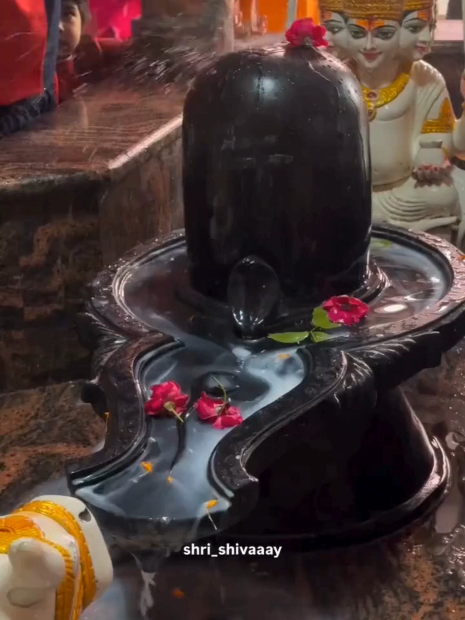 @➳🧡शिवभक्त 🚩🥀꧂