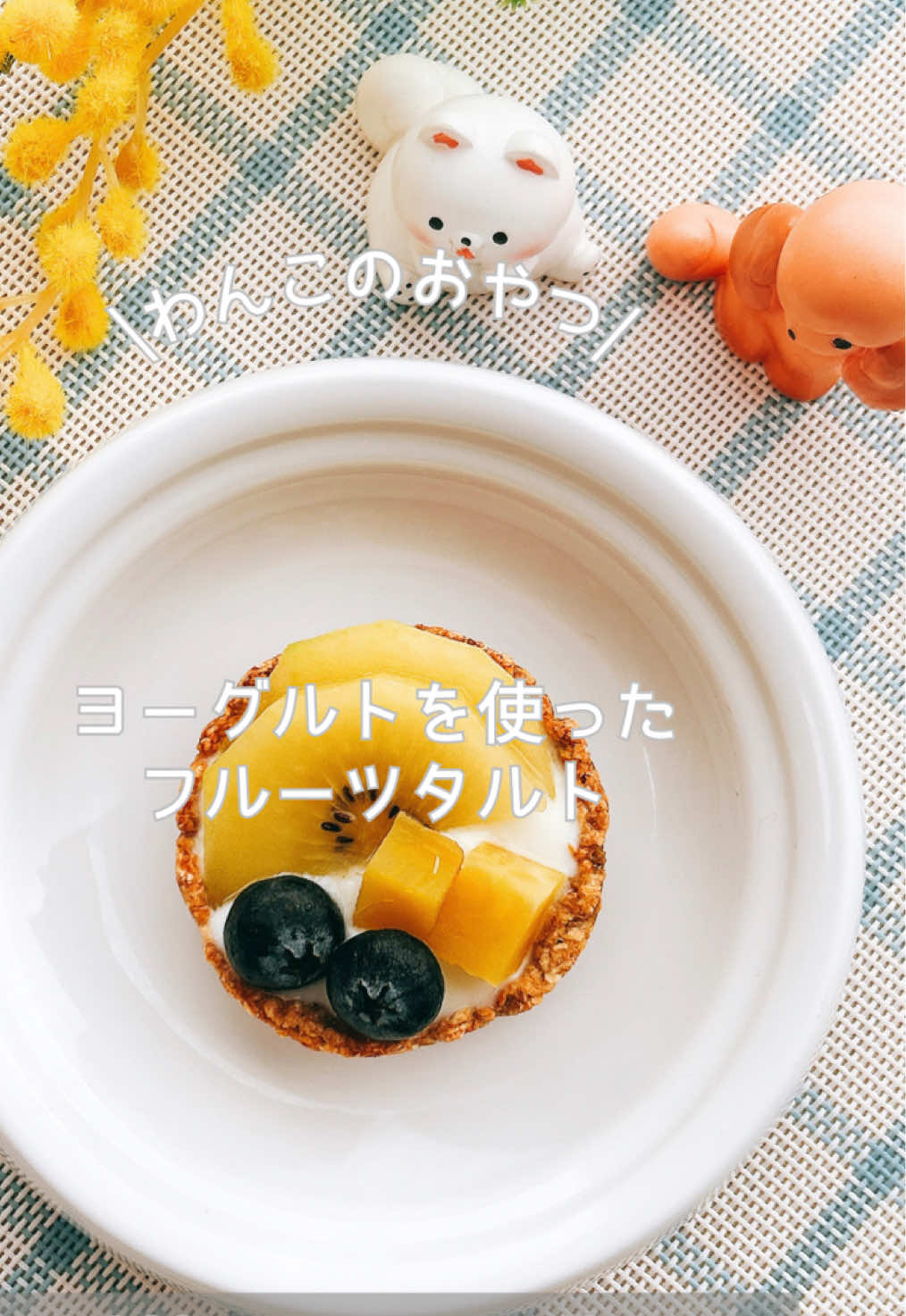 @ゆきえもん｜手作り愛犬おやつ