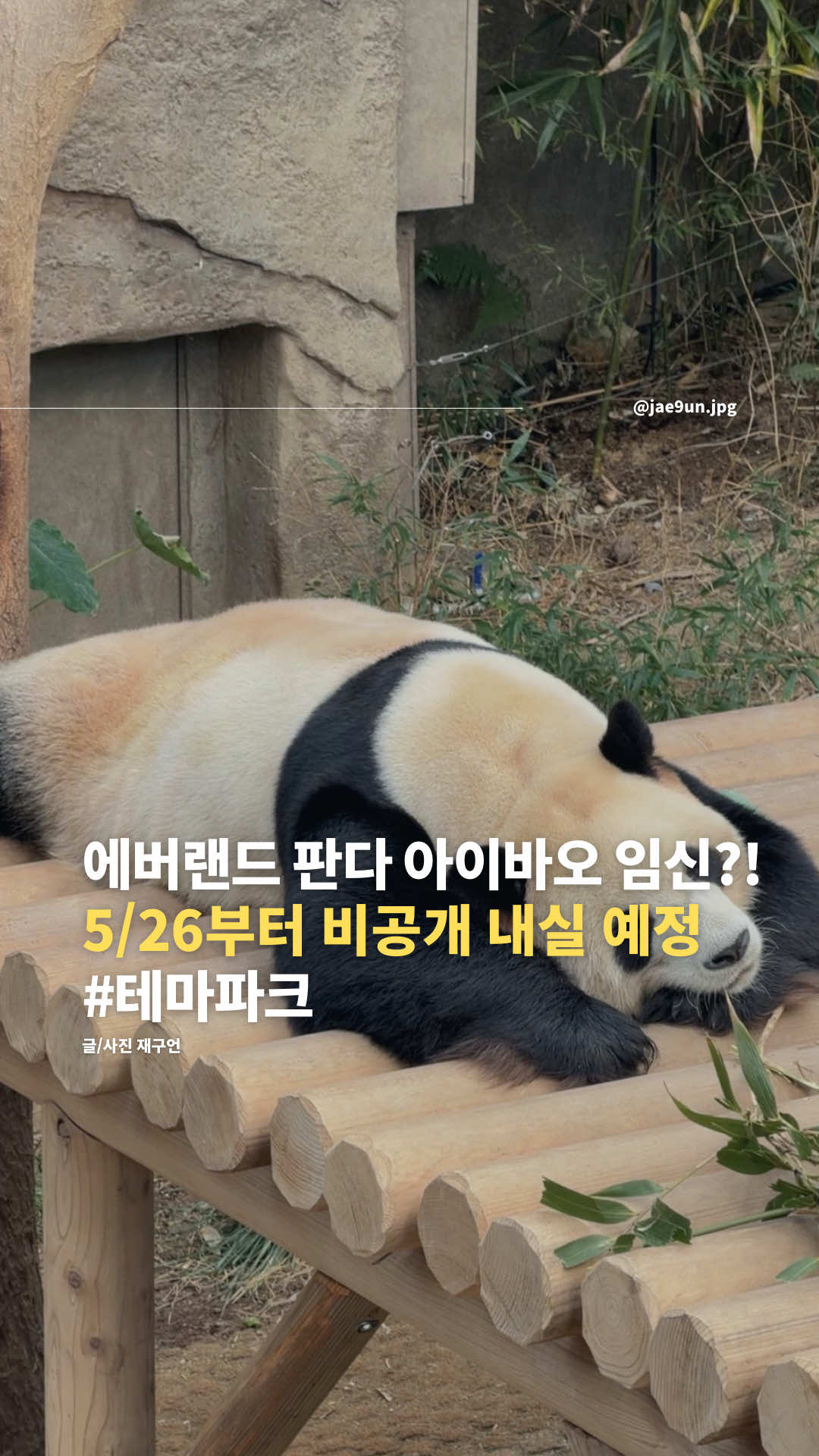 @재구언