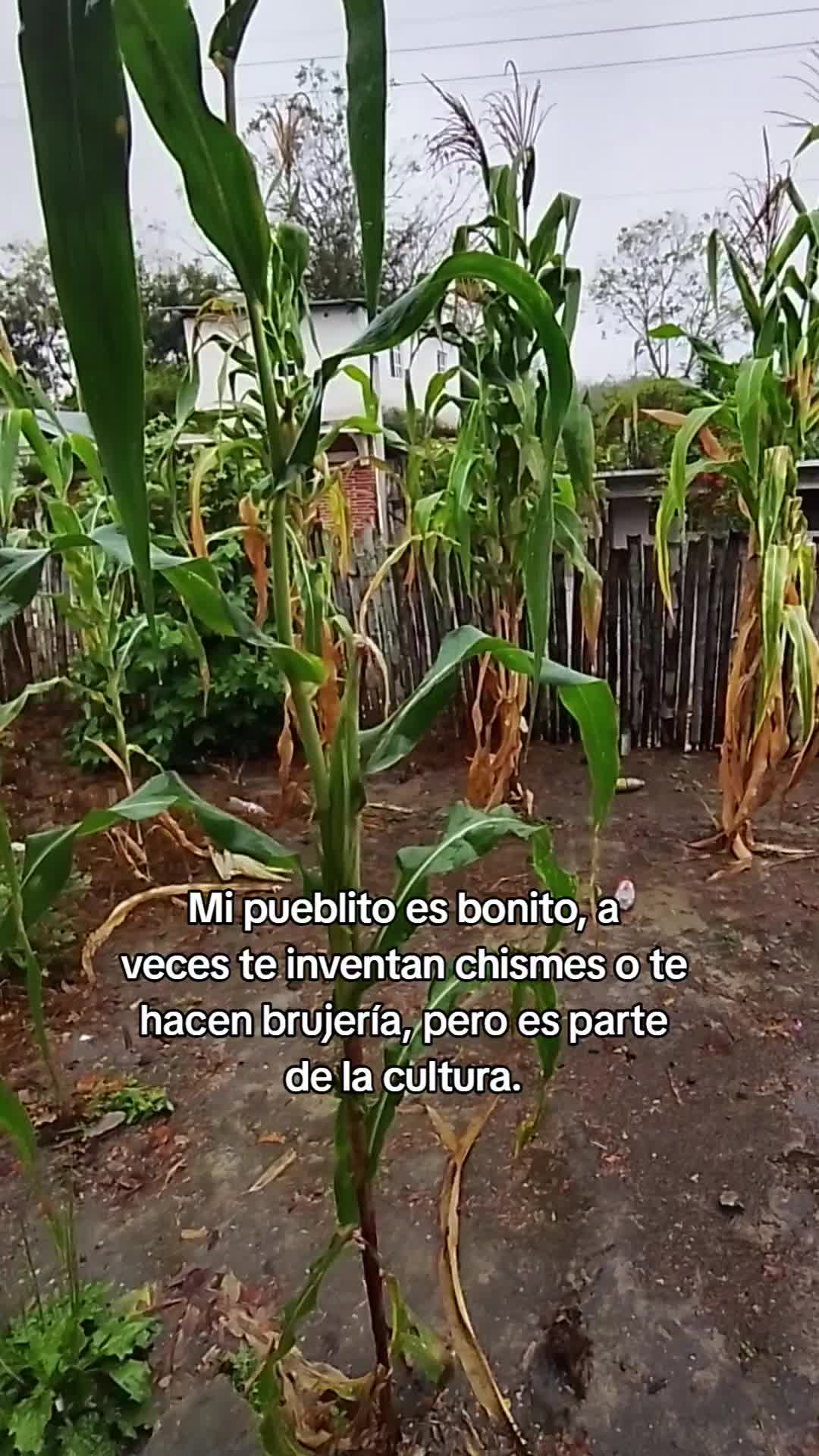 @Arizteo_Dguez