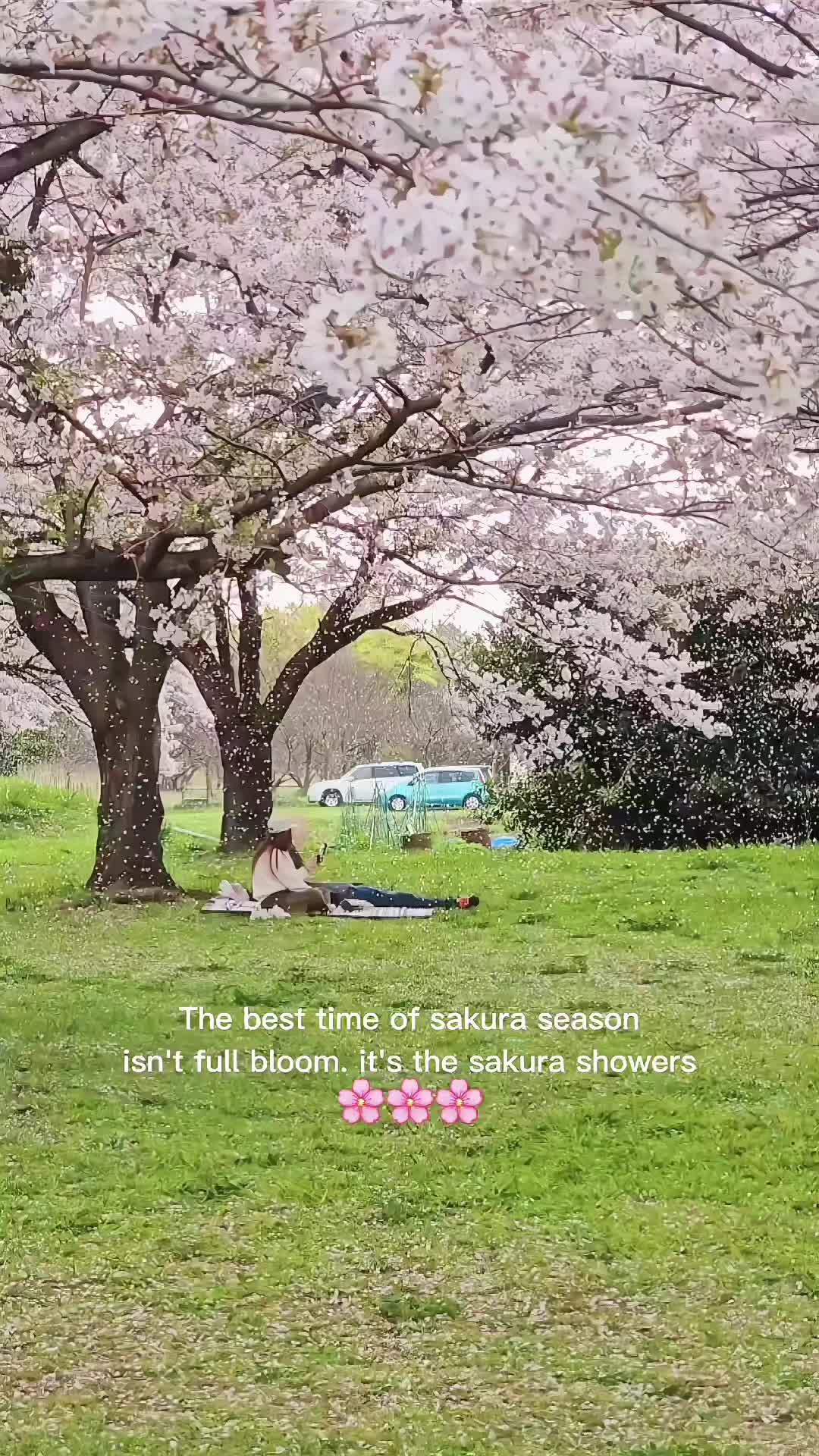 @kanako