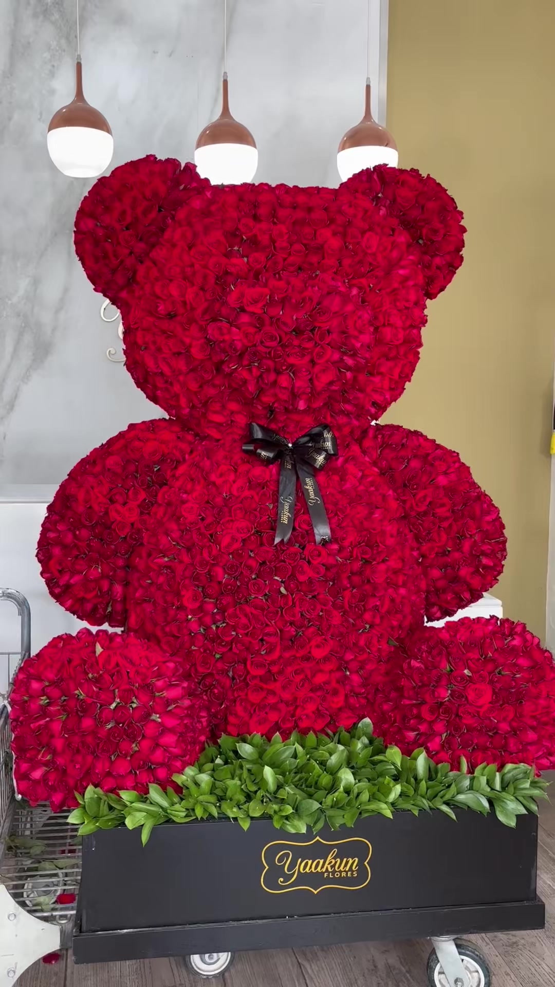 @Yaakun Flores