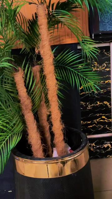 @👑 مغل صاحب ۔💫~