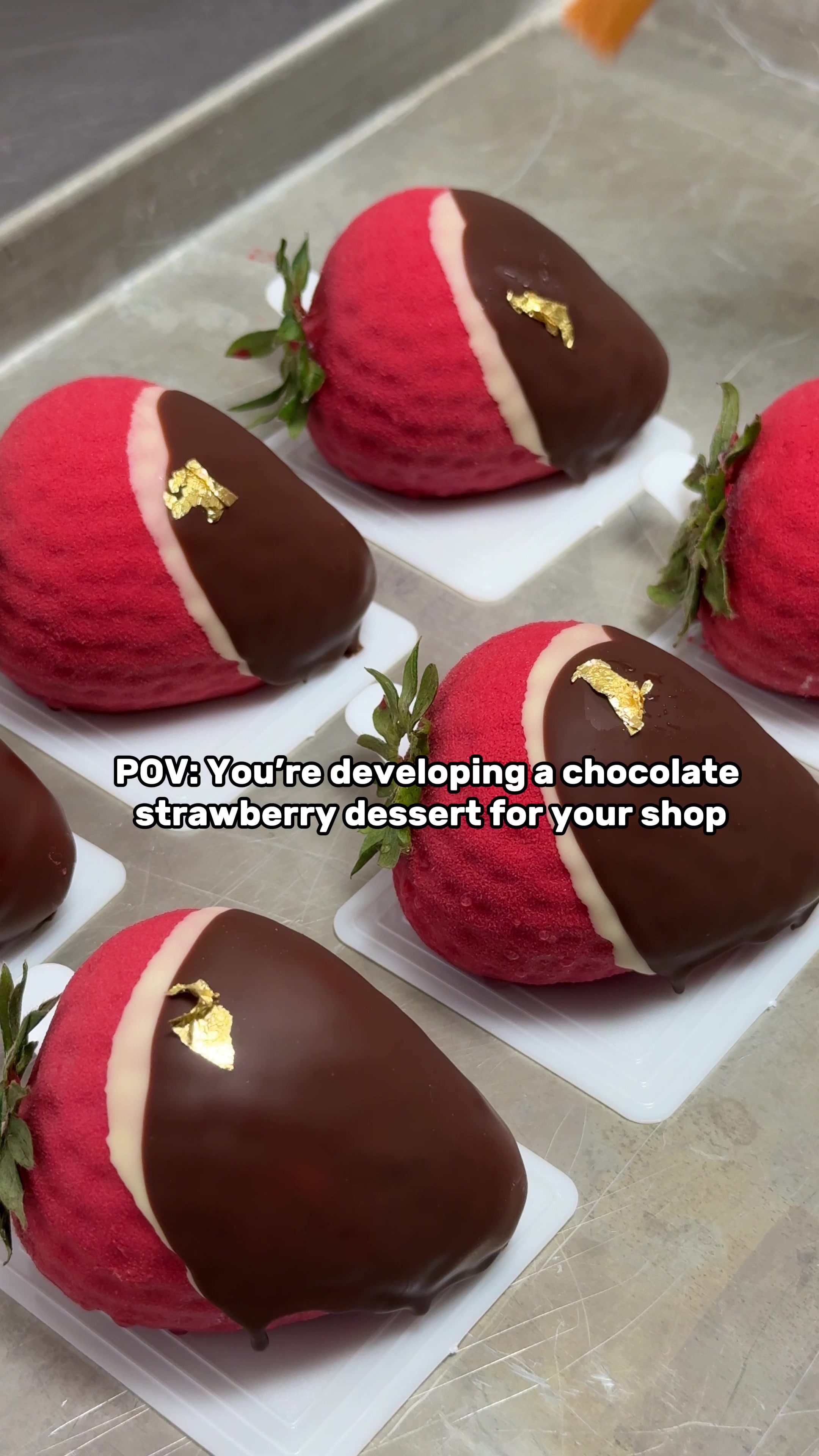 @Catherine Zhang