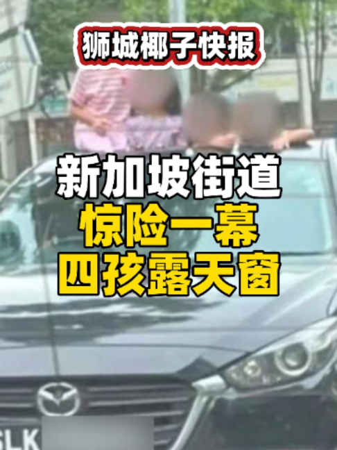 @新加坡狮城椰子