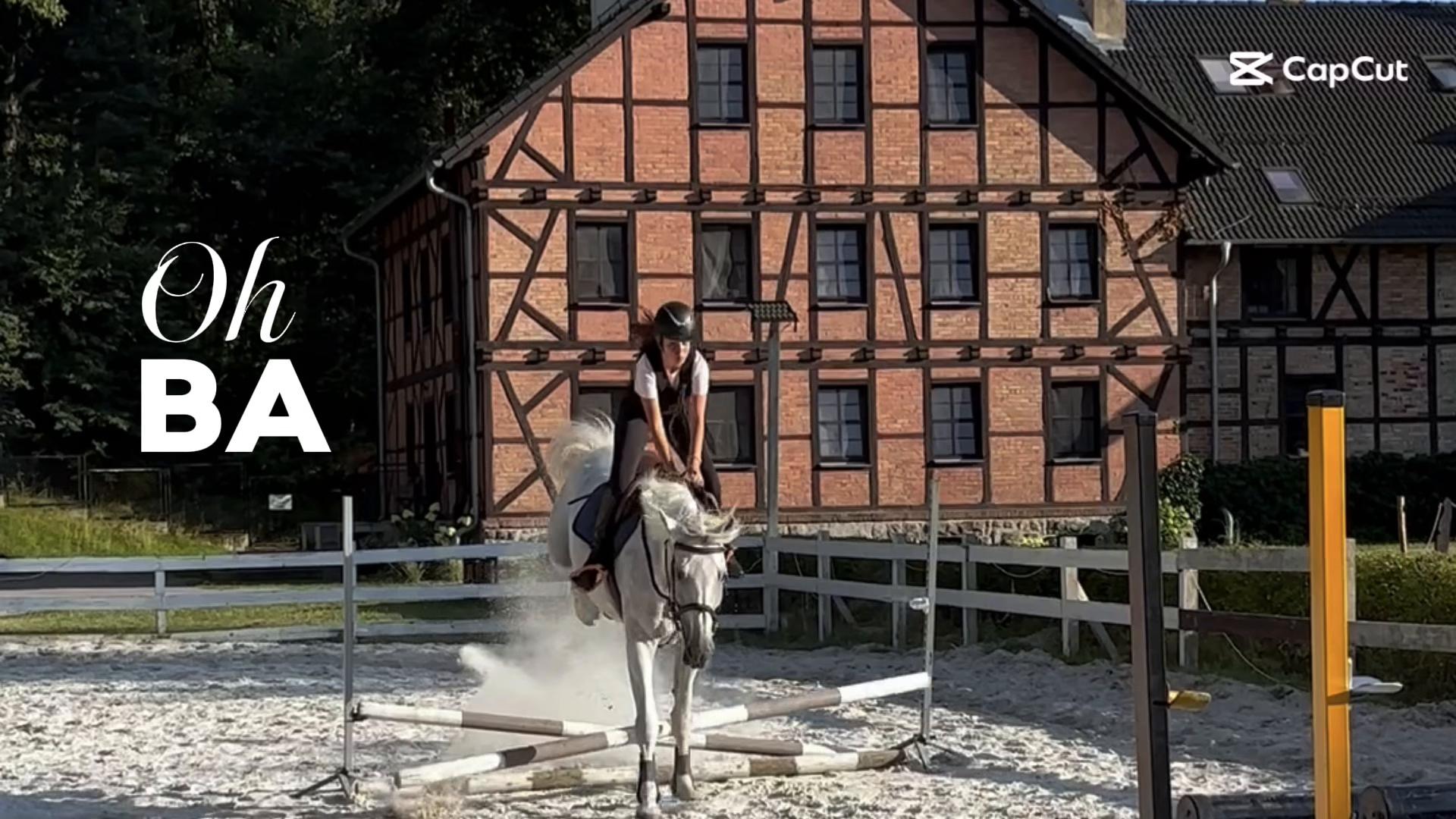 @🐴💗TA OD BELLI I ARY💗🐴