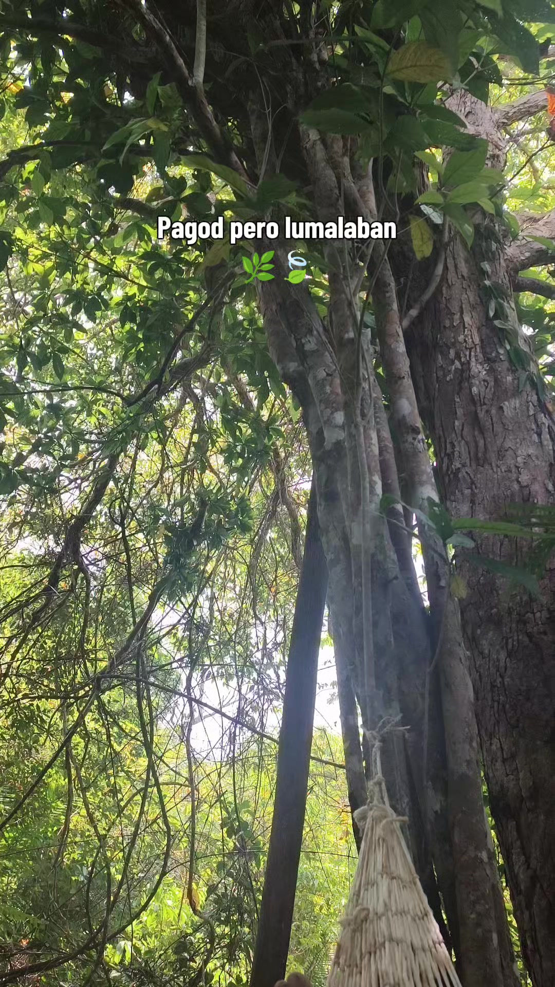 @MASARUঐ