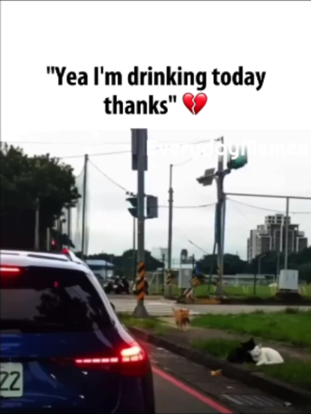 @EverydayMemes