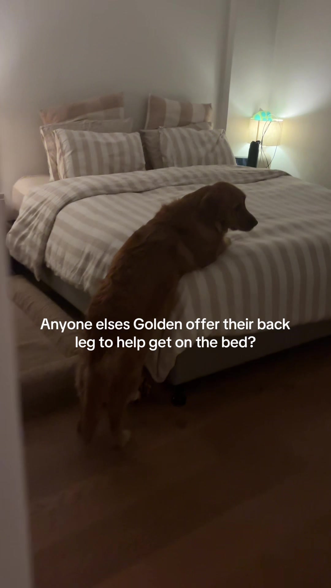 @delilah.thegoldengirl