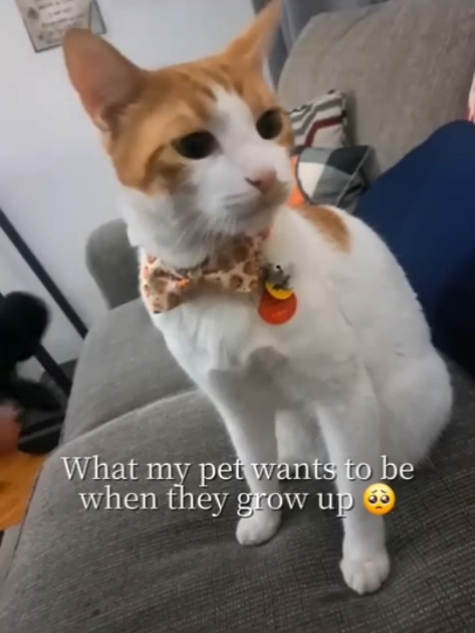 @Candice & Weasley