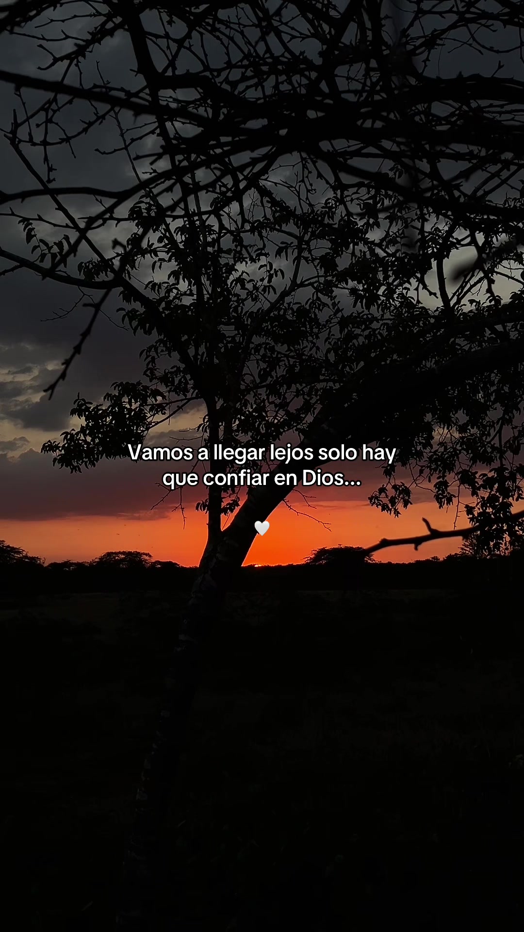 @๐ฅ๐
La naturaleza ๐๐