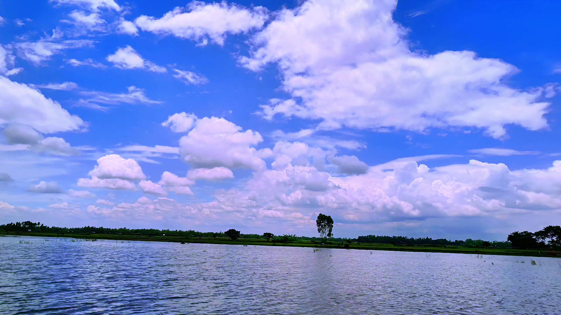 @🪺🦋বাংলার প্রকৃতি 🌾🌹