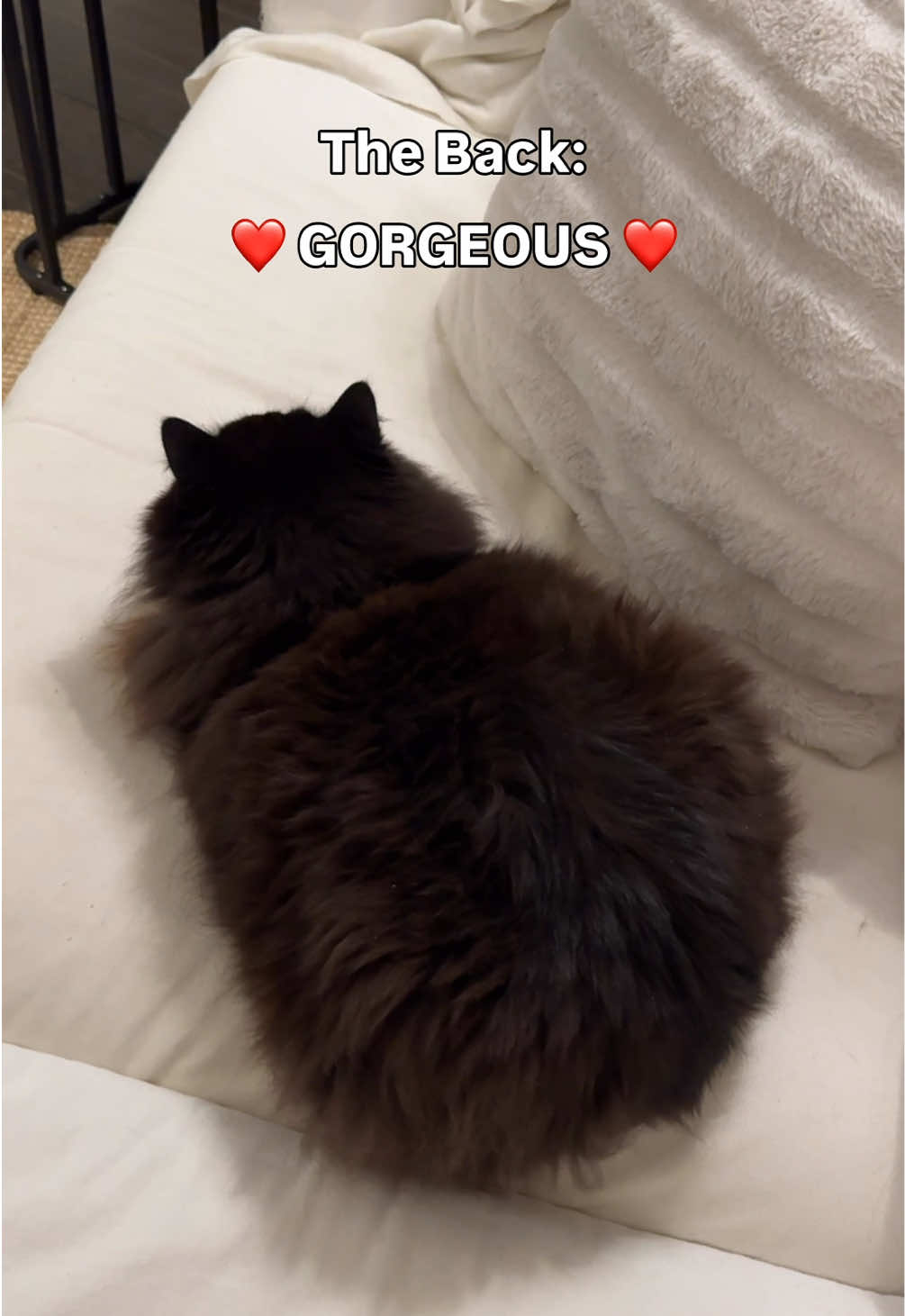@truffie.nugget
