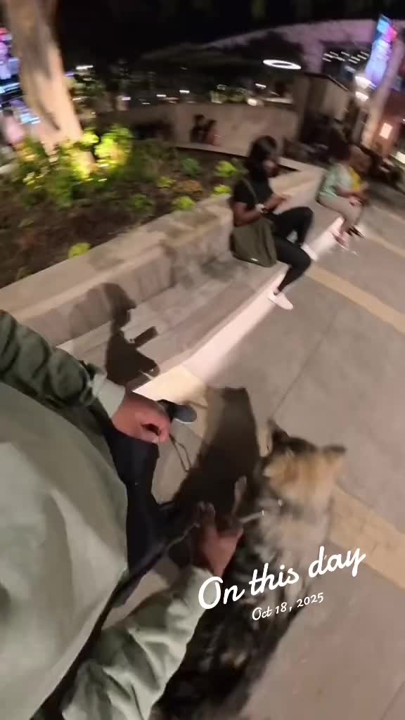 @Neko, Tokahli and Bear