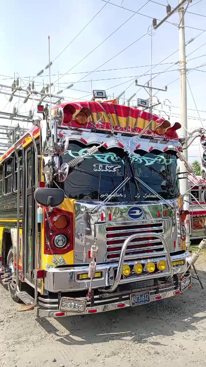 @buses elegantes 503