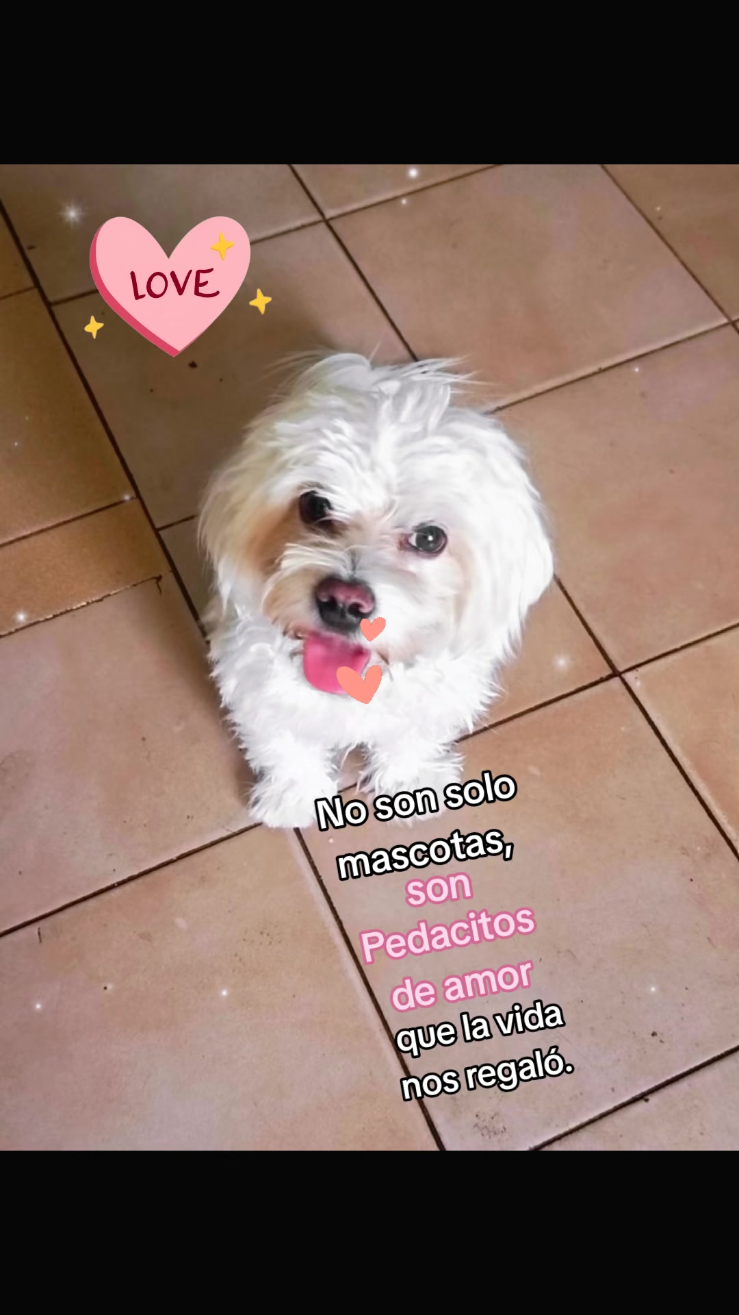 @Maria Ysabel 🇻🇪