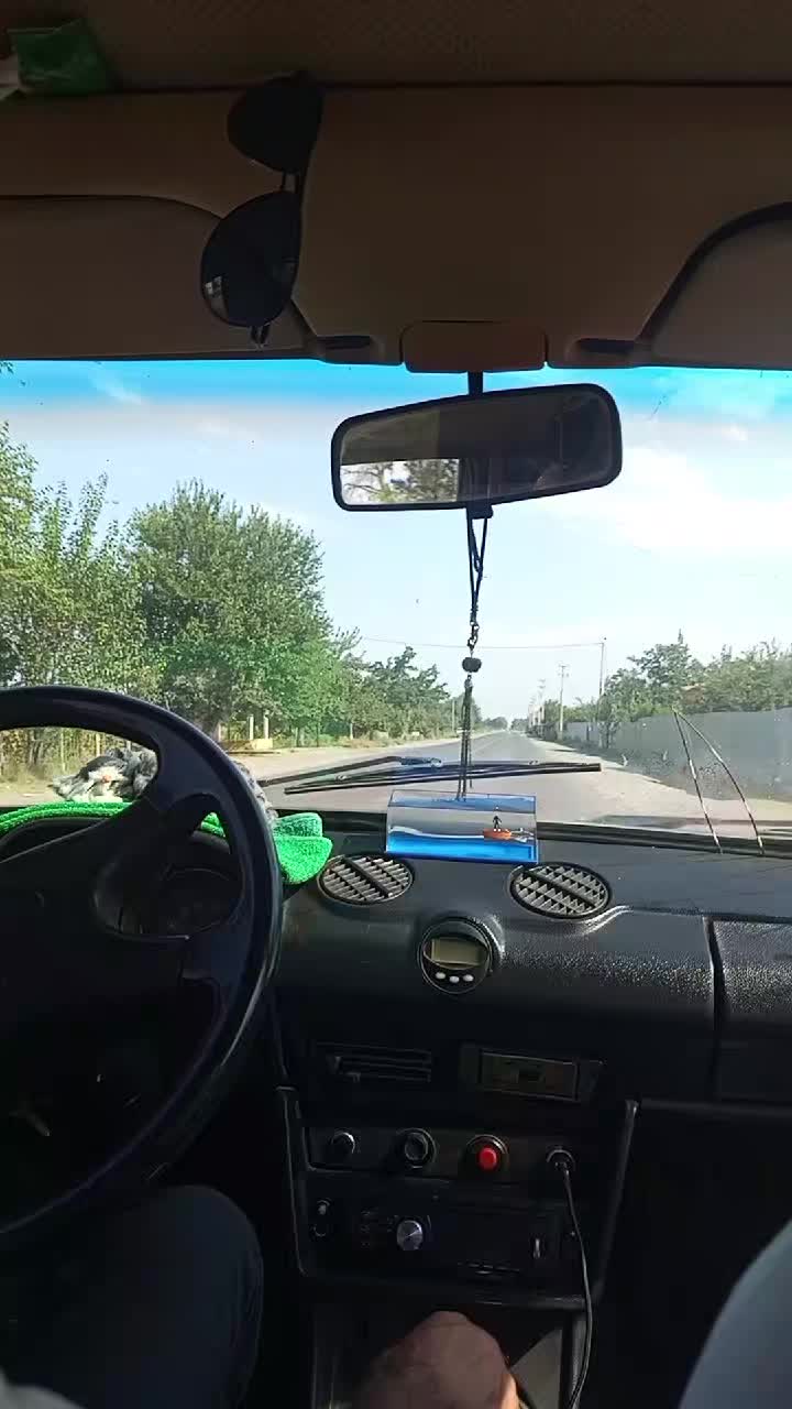 @rovsen_peyseranski