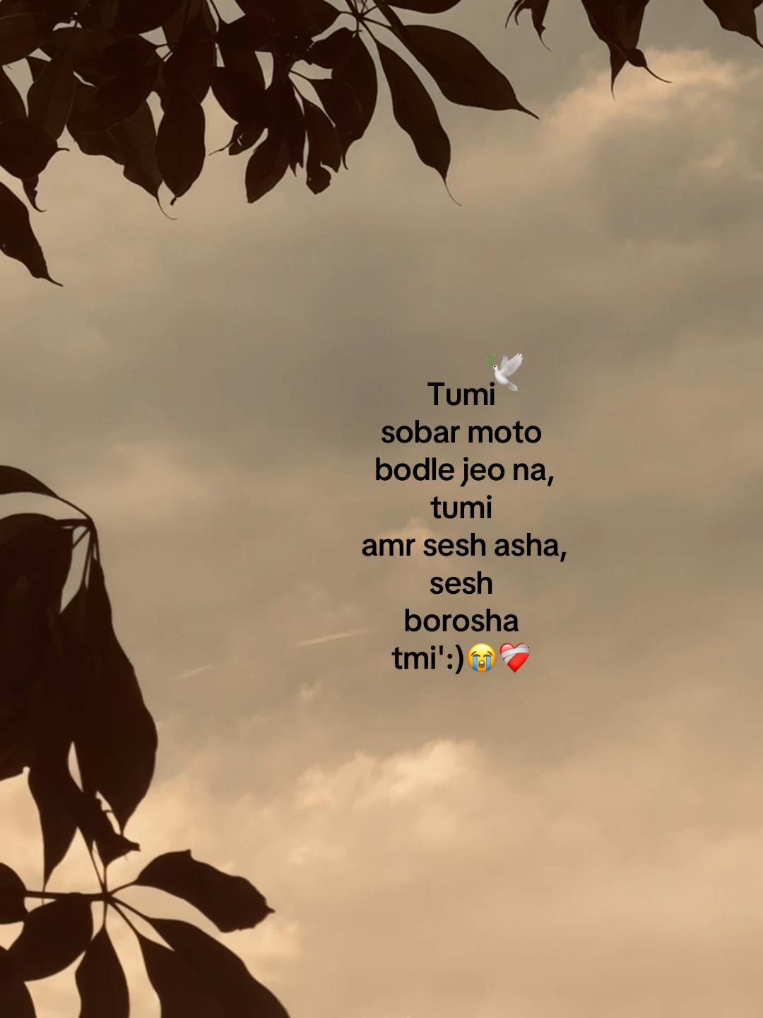 @Jahidul lslam 95