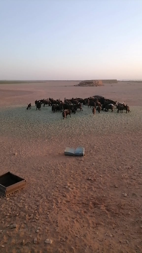 @زاهیدPTI 804
