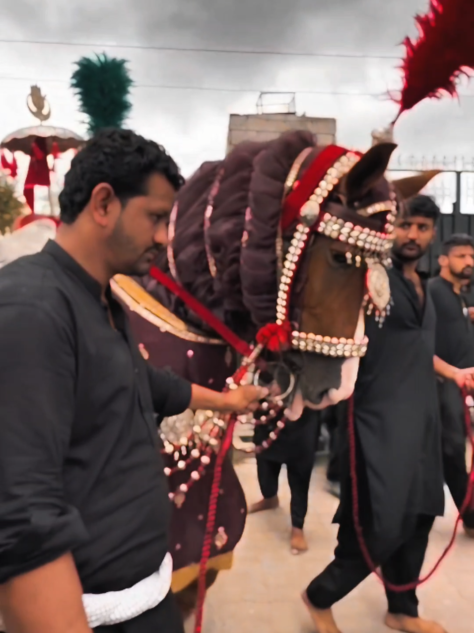 @مرکزی ذوالجناح تلہ گنگ