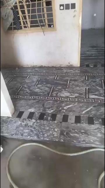 @شاہدین