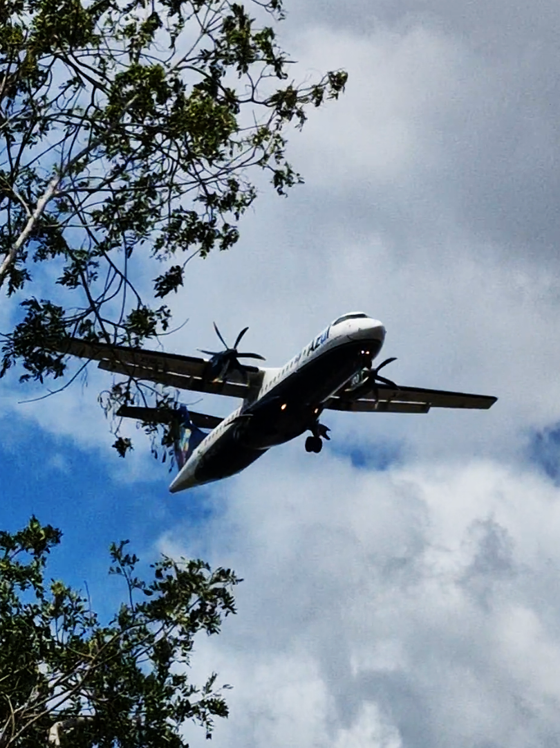 @Gabriel Sena ✈︎