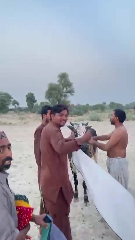 @salmanblouch525