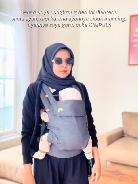 @nanababycarrier official