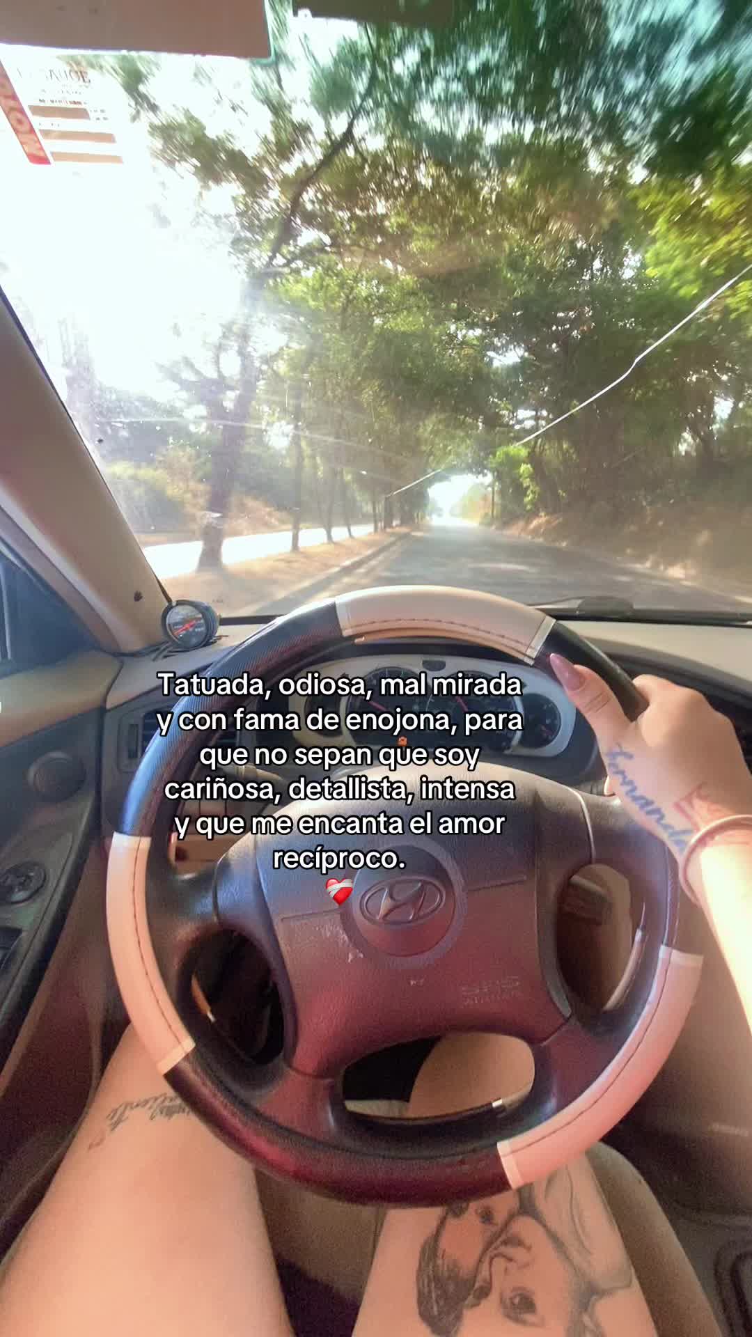 @I V E T T E❤️🩹🇸🇻