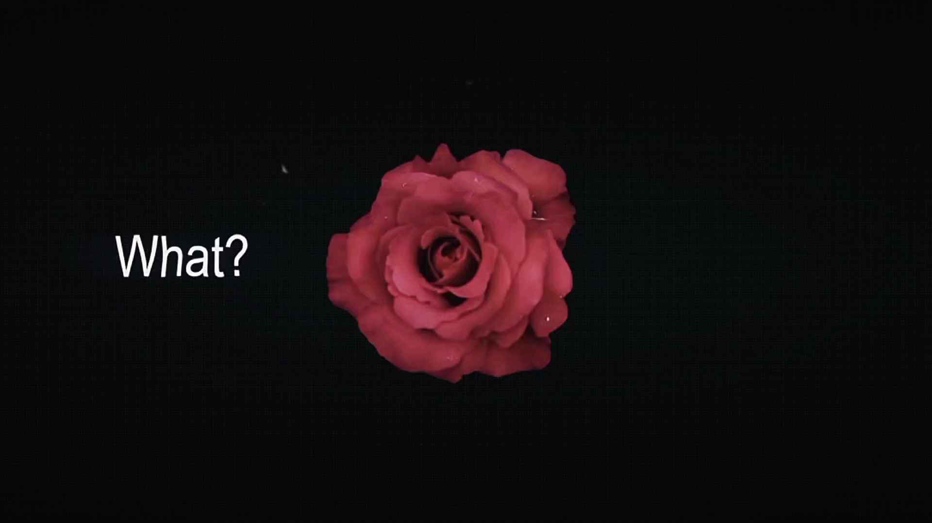 @𝘷𝘦𝘭𝘮𝘮𝘳𝘢𝘺𝘹