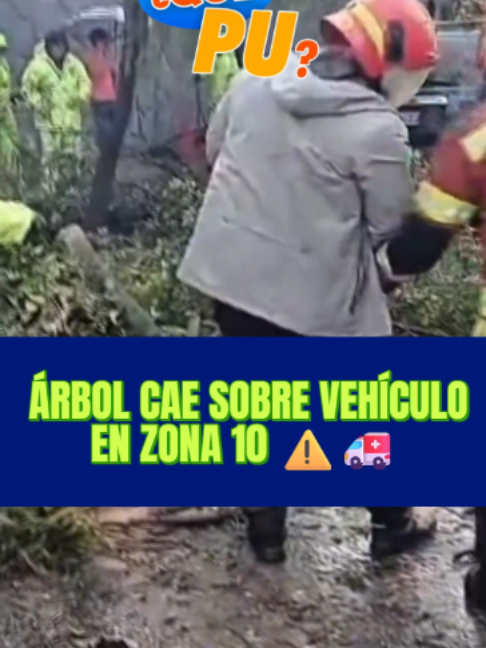 @Que Pu