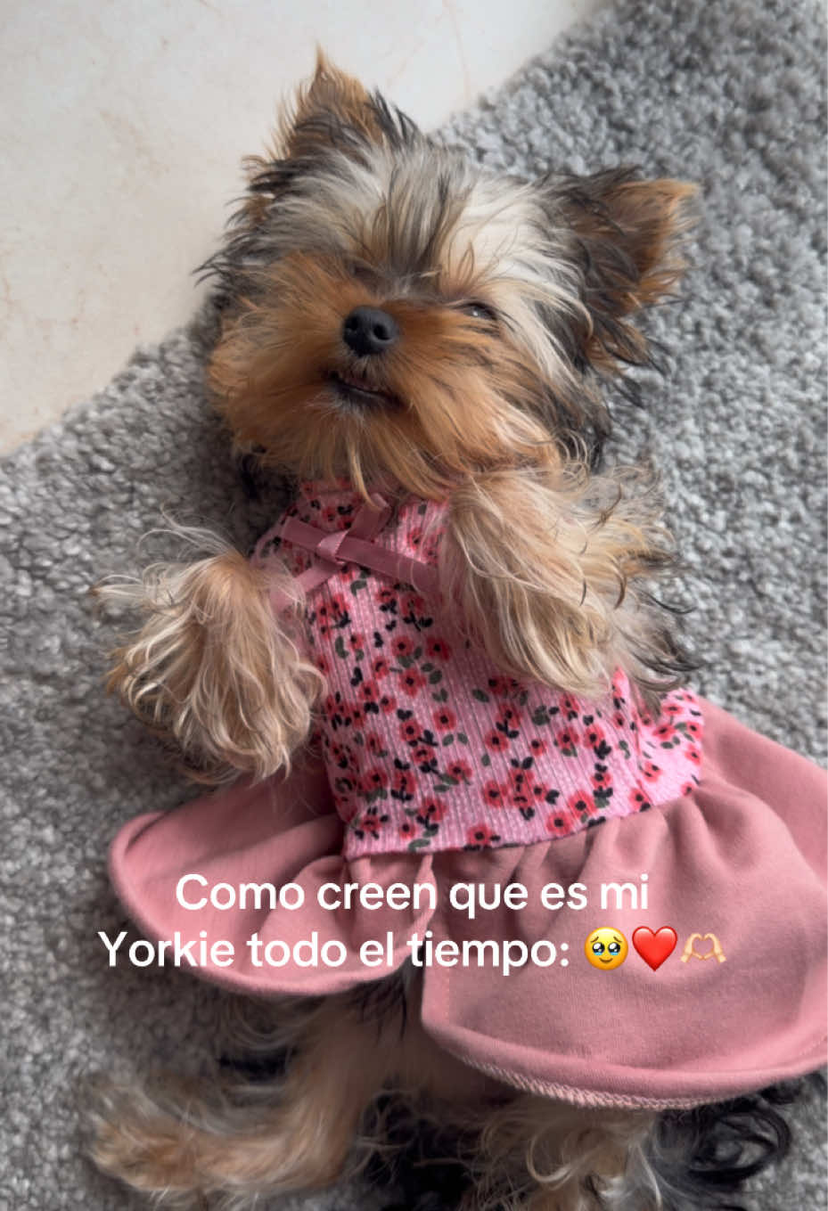 @Pam Rocha