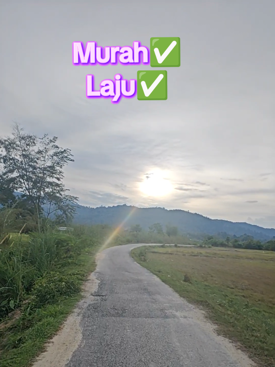 @Saifullah Anang