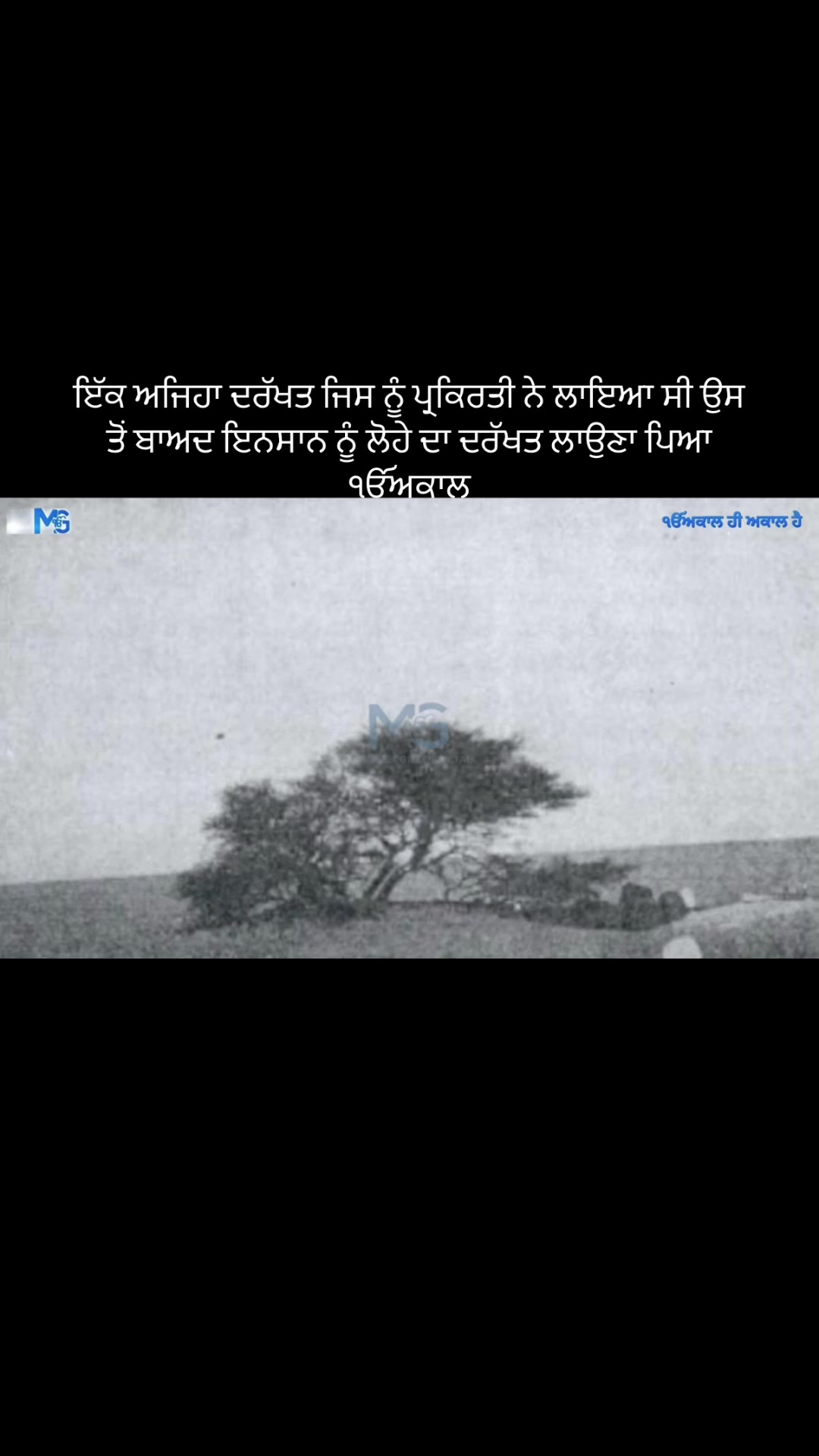 @Mandeep Singh Gill