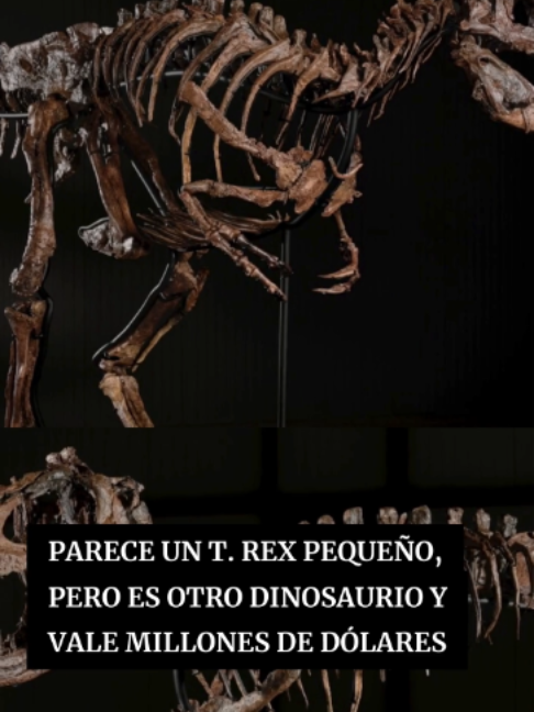 @Periódico Excélsior
