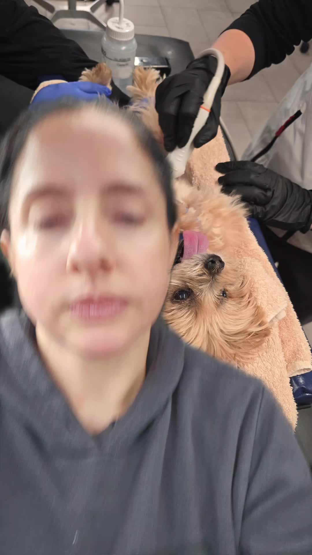 @AuthorAbbyJimenez