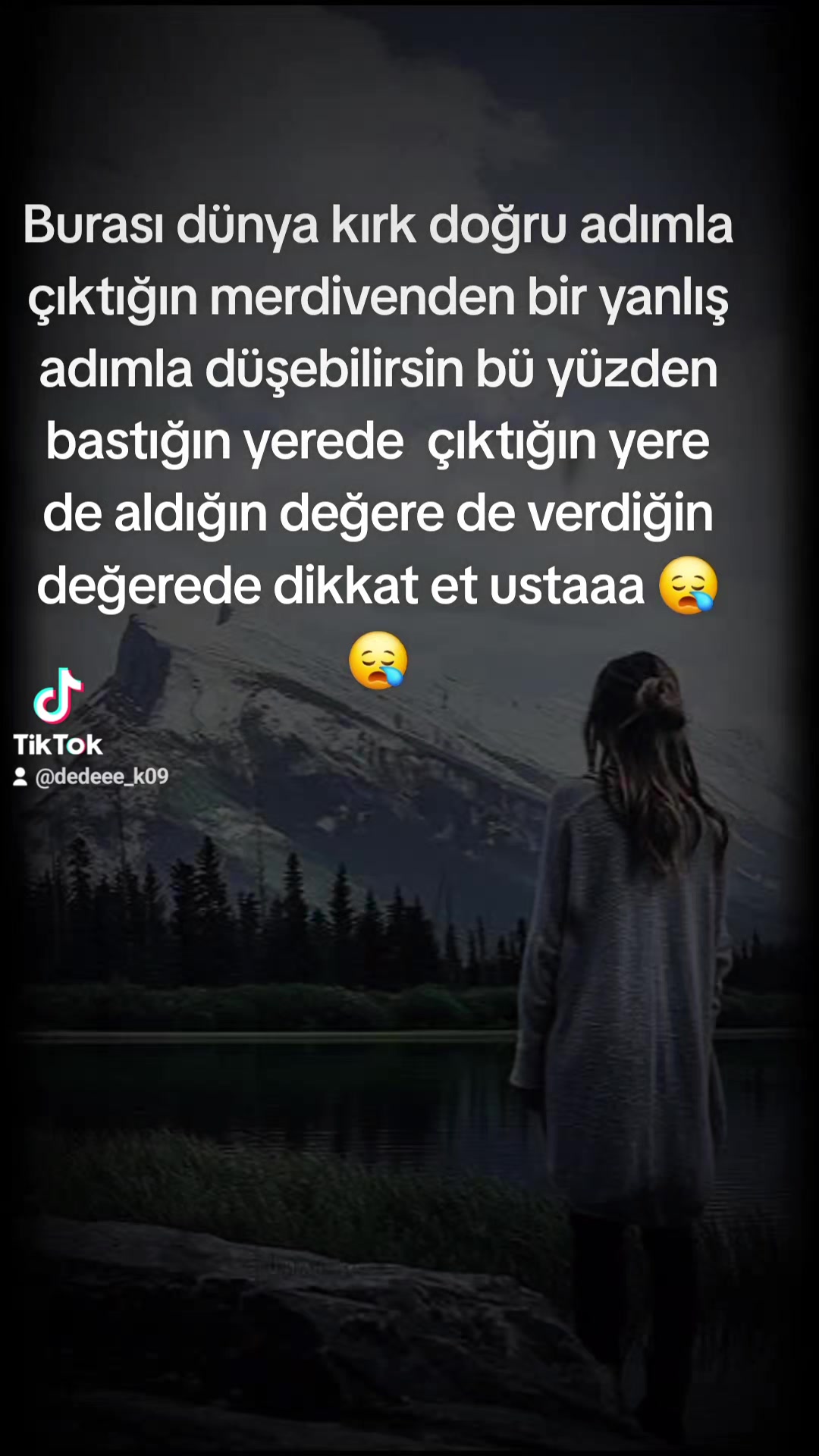 @⚜️wolf usta ⚜️