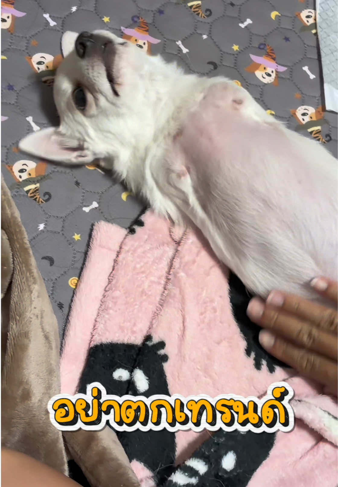 @ผมชื่อเฟิร์บ