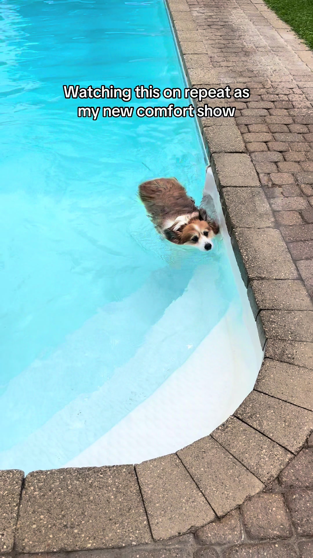 @hudsonthefluffycorgi
