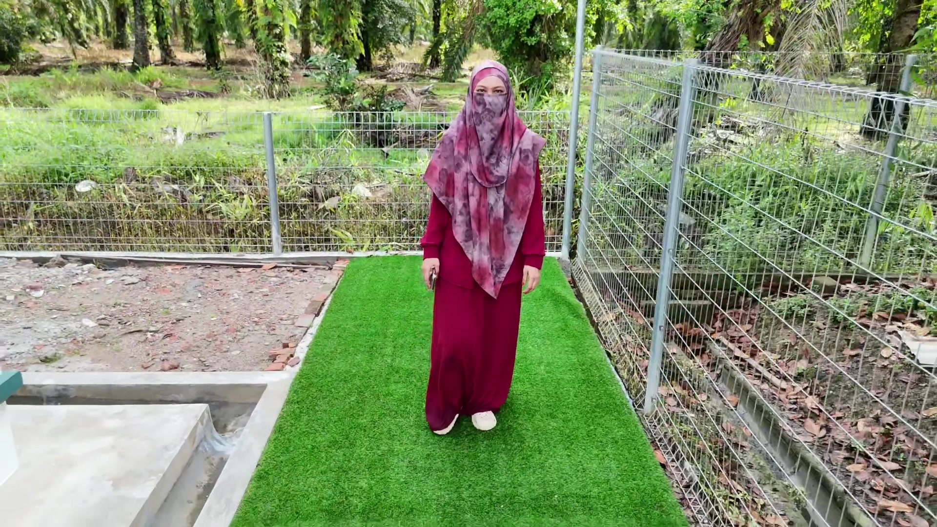 @MZ Landskap Nurseri Benut