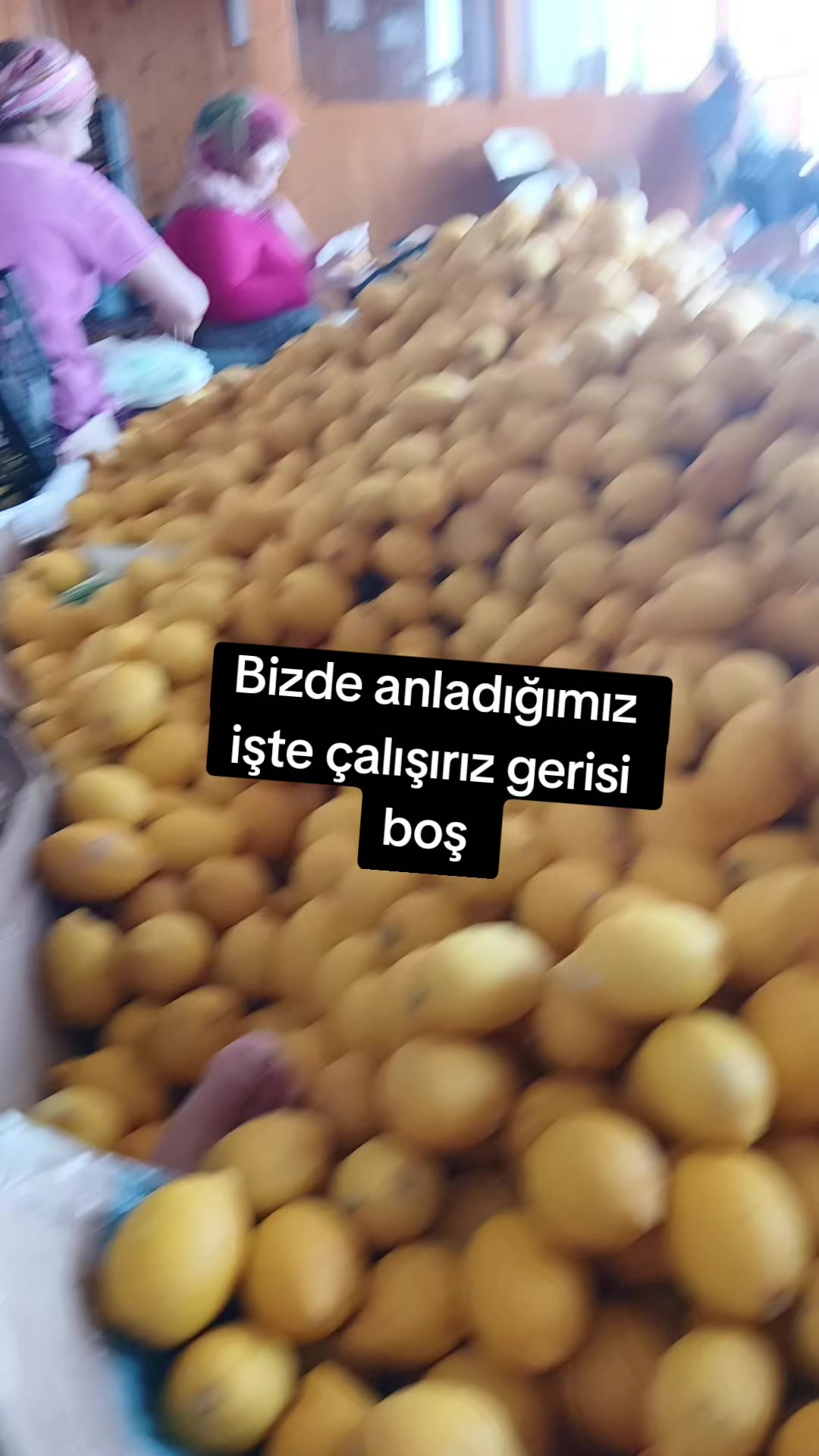 @Mira nur 33