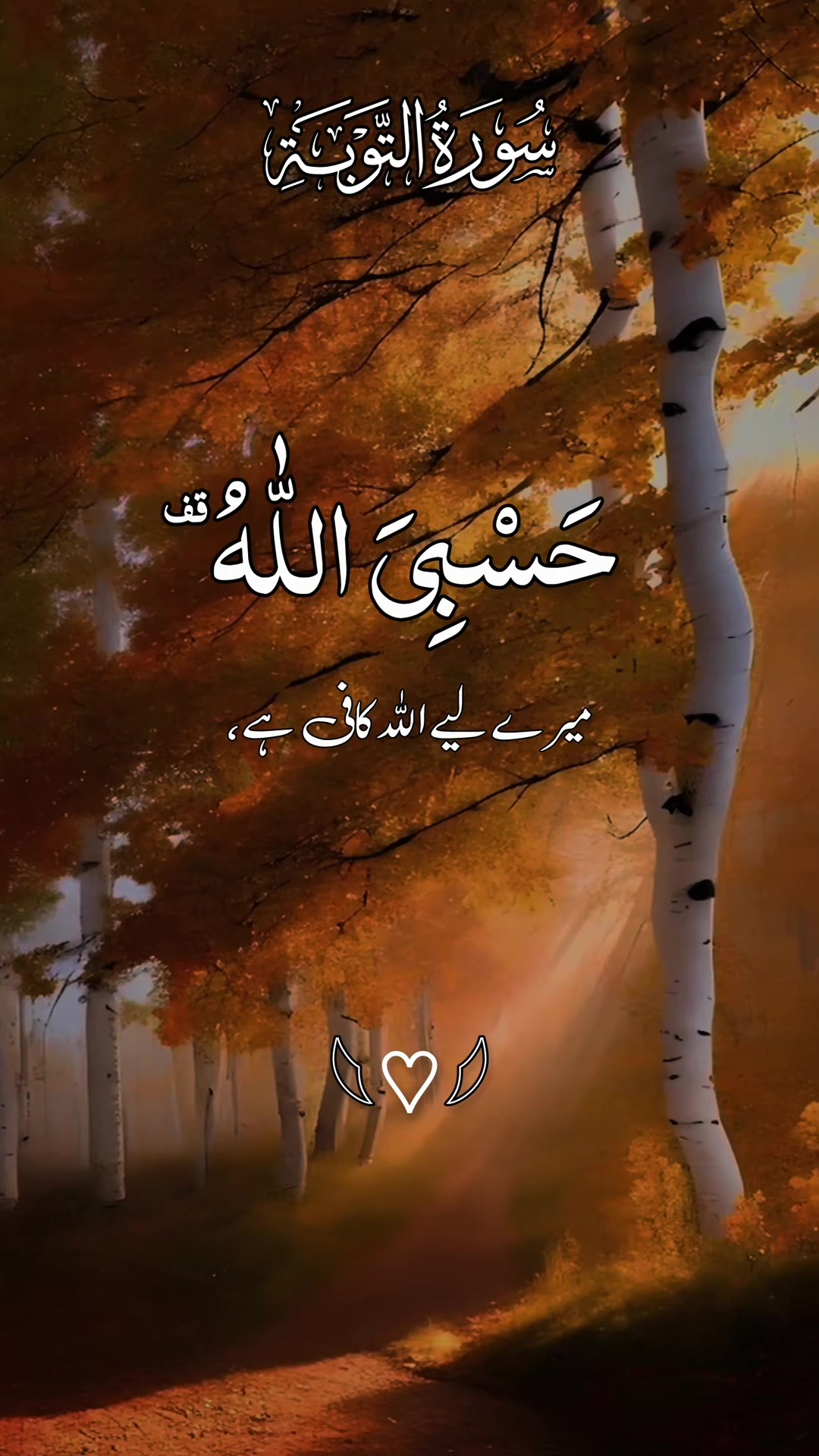 @❣️ Words of Allah ❣️