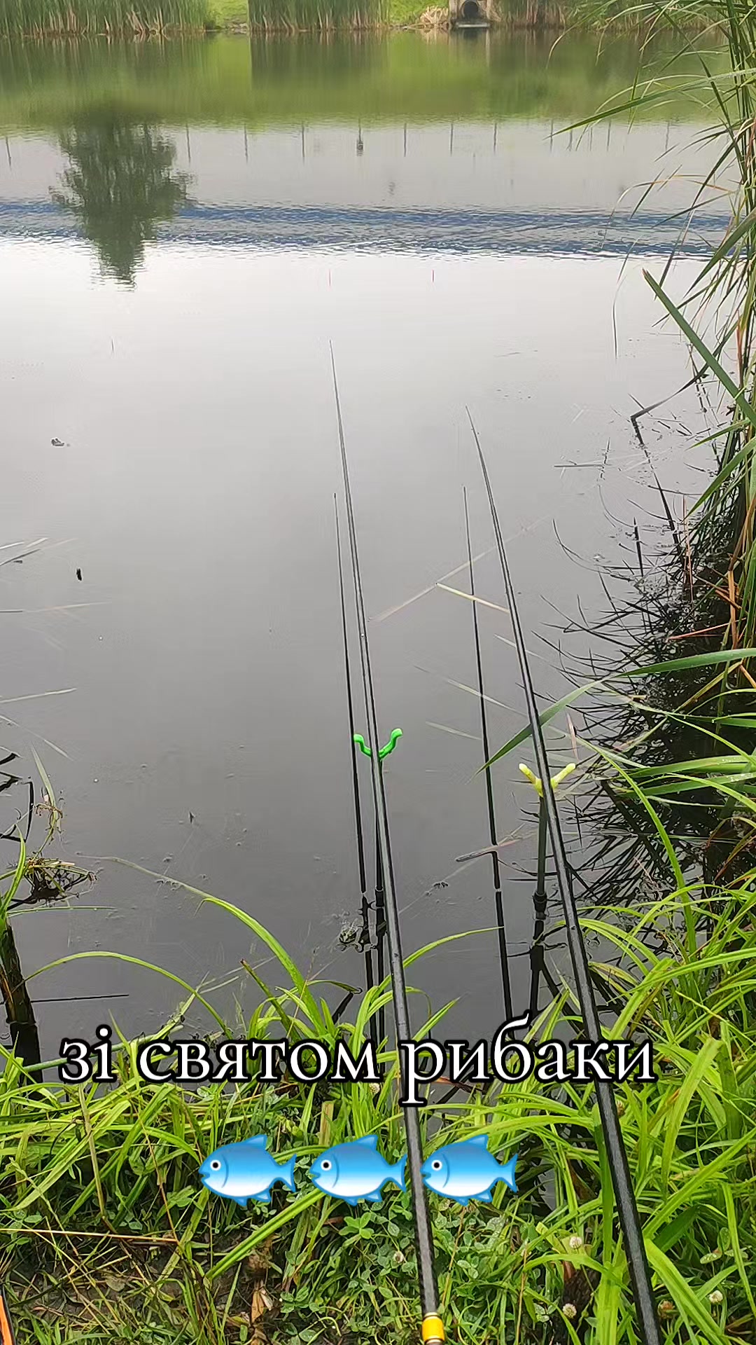 @Николаевич