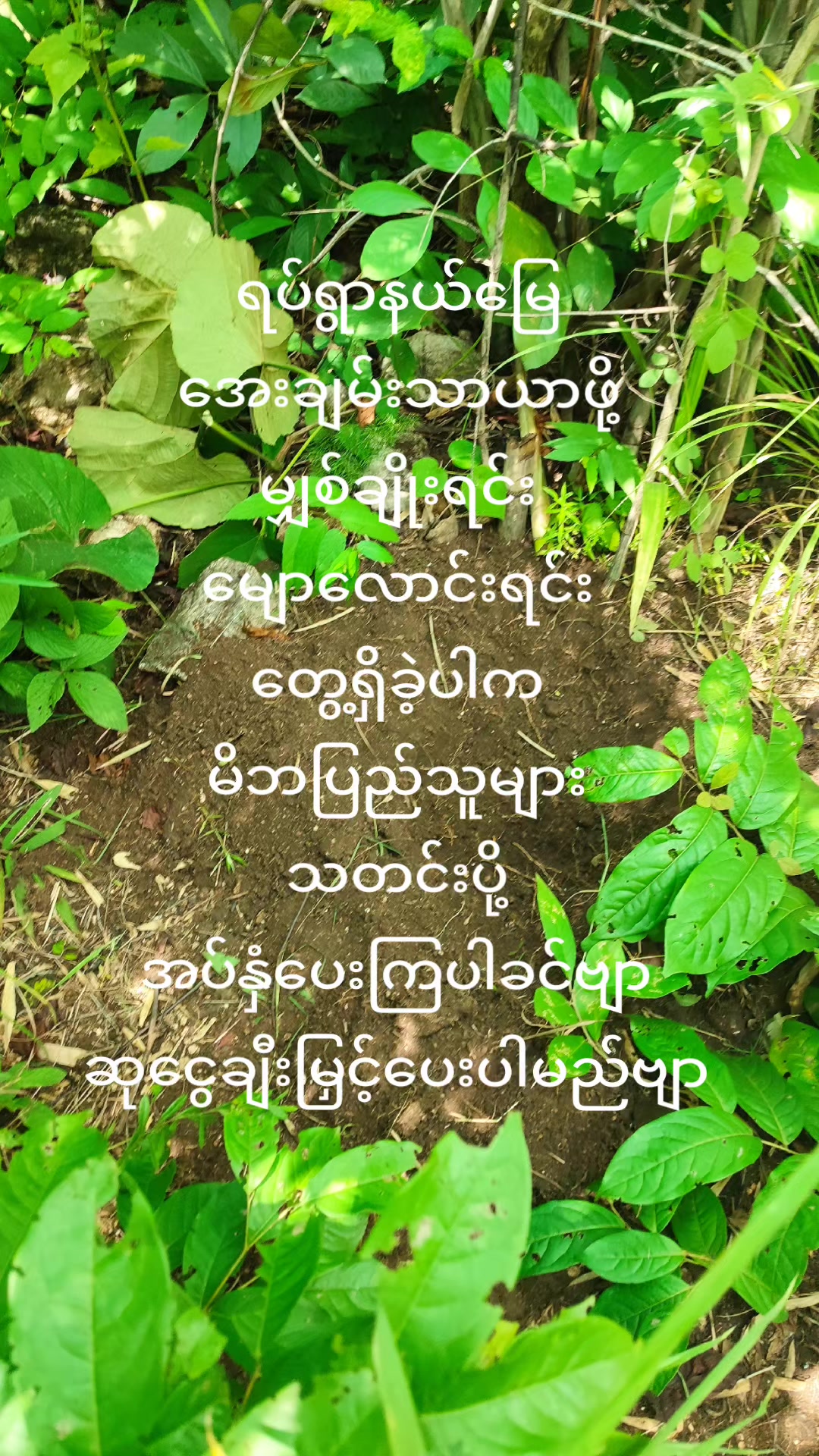 @မရှိခဏ
