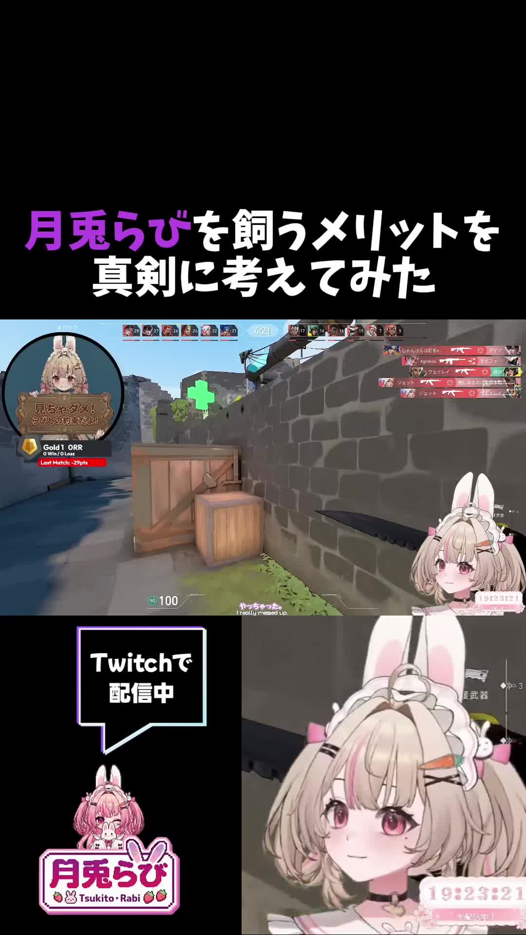 @月兎らび🌙🐰
