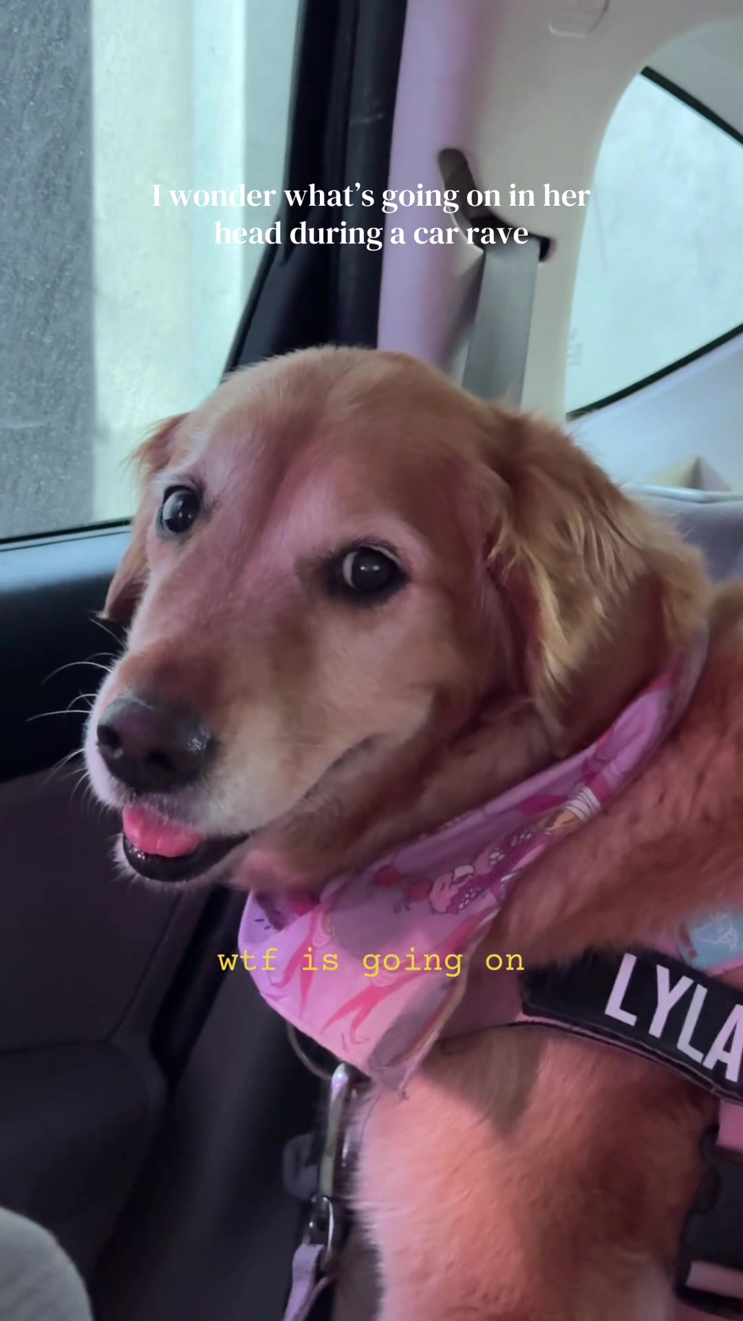 @ANGIE LIU