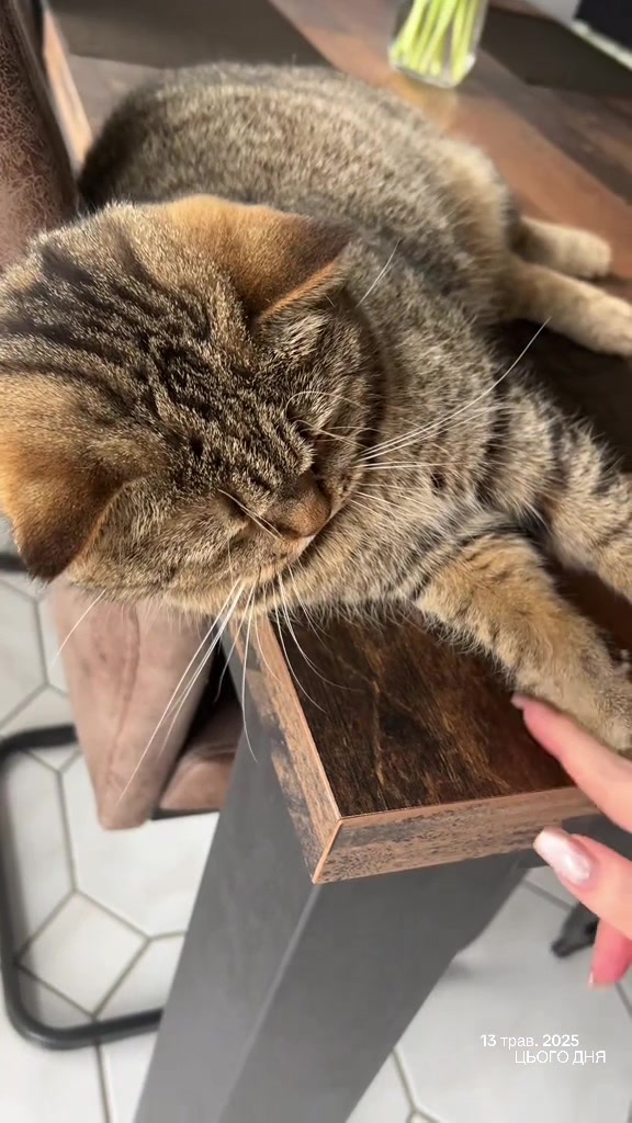 @Джоні 😻