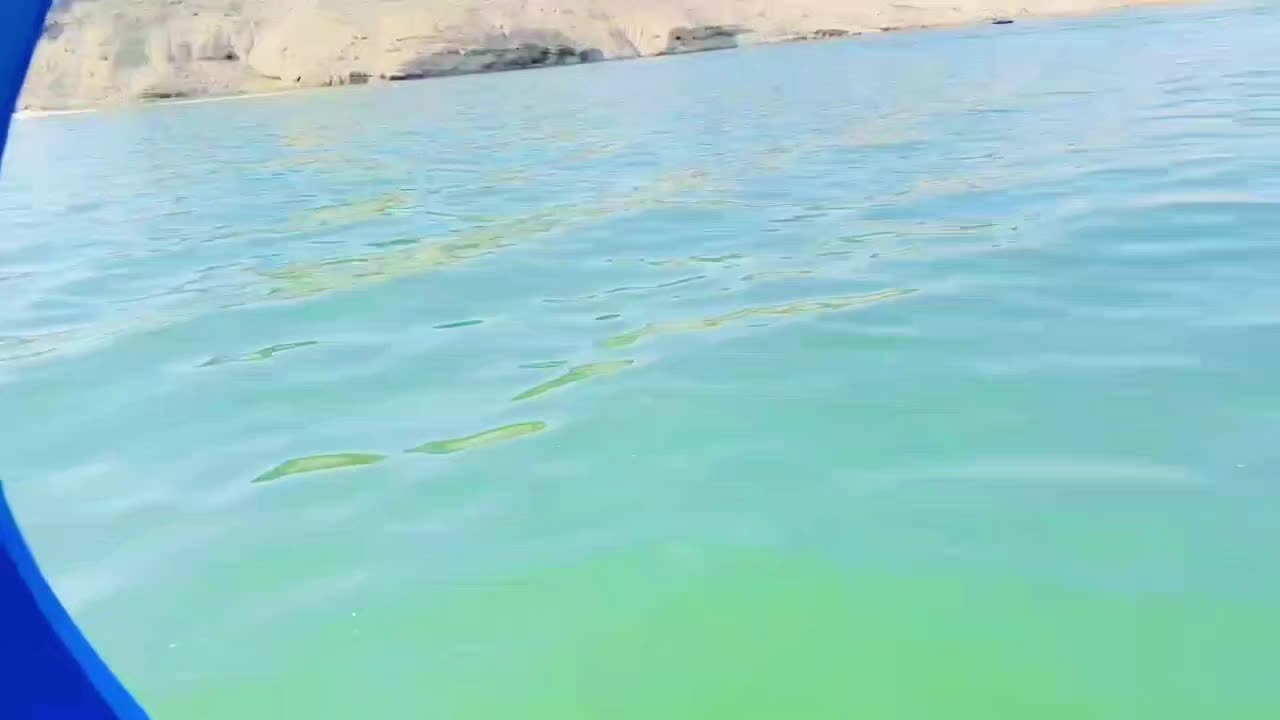@subhani 343